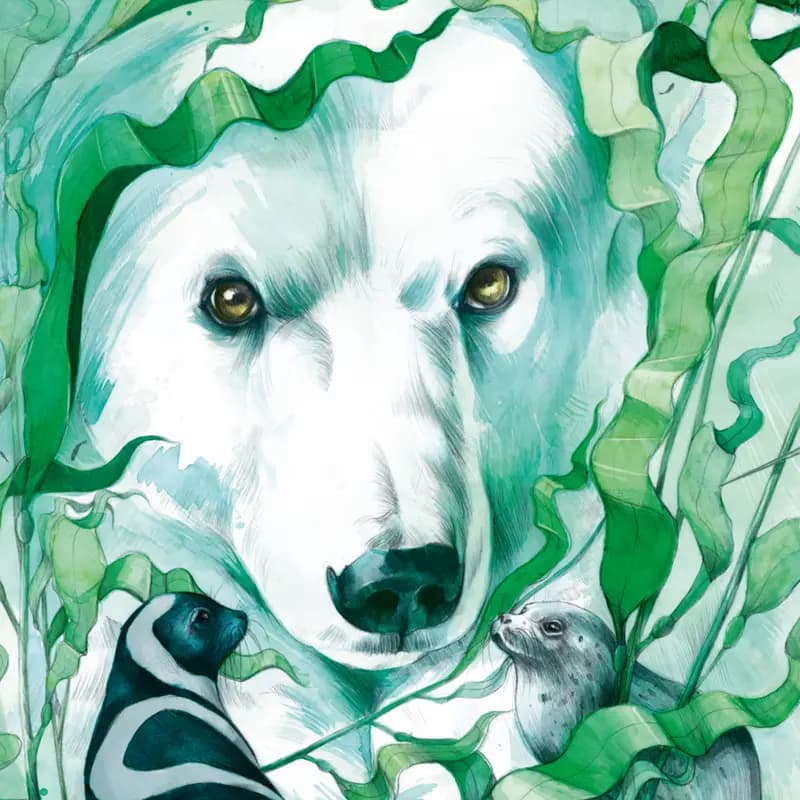 The Great Bear
