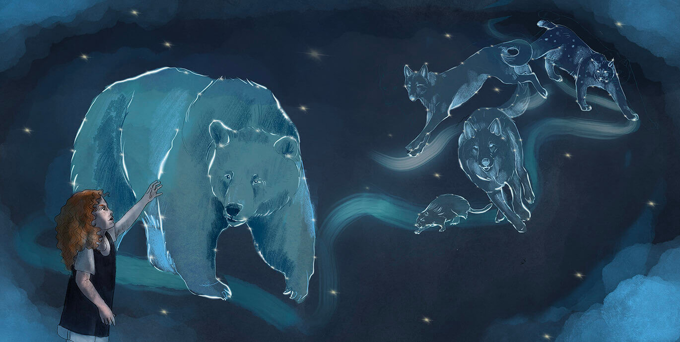 Natural history illustration from Finding The Wild by Annie Booker