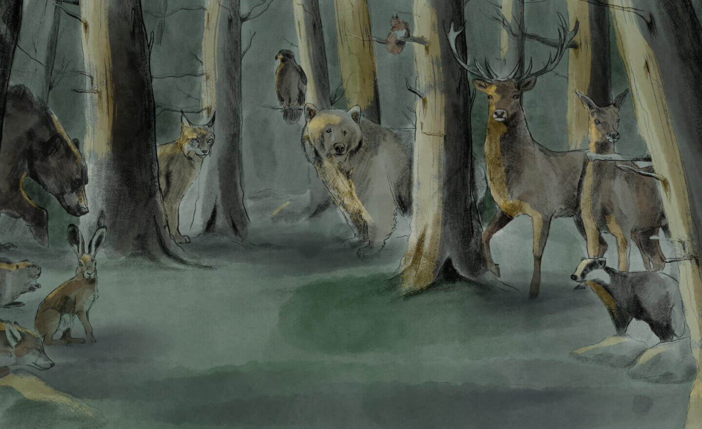 Mixed media nature illustration from Finding The Wild by Annie Booker