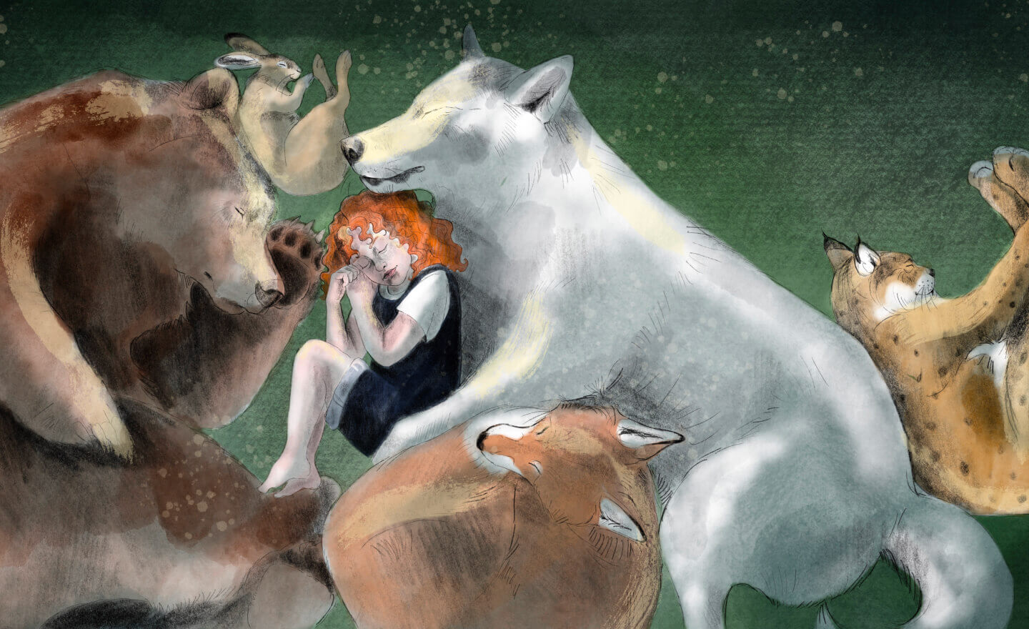 Natural history artwork from Finding The Wild by Annie Booker