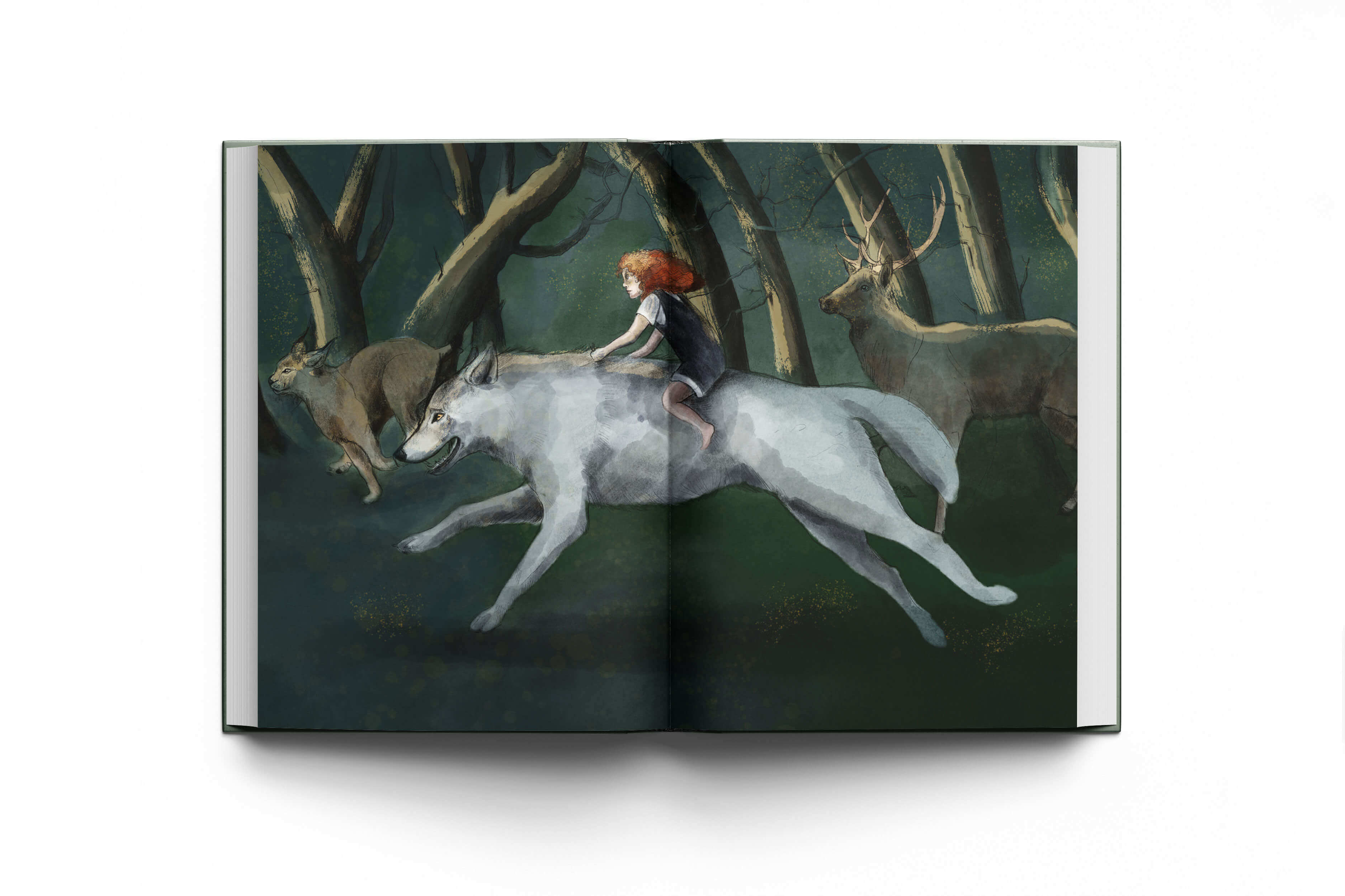 Interior page from Finding The Wild children's book by Annie Booker