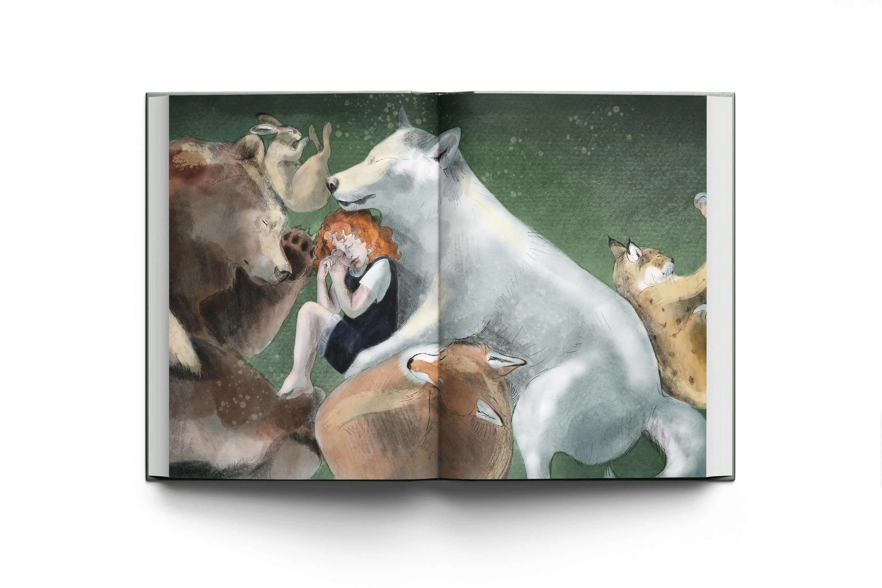 Finding The Wild book spread illustration by Annie Booker