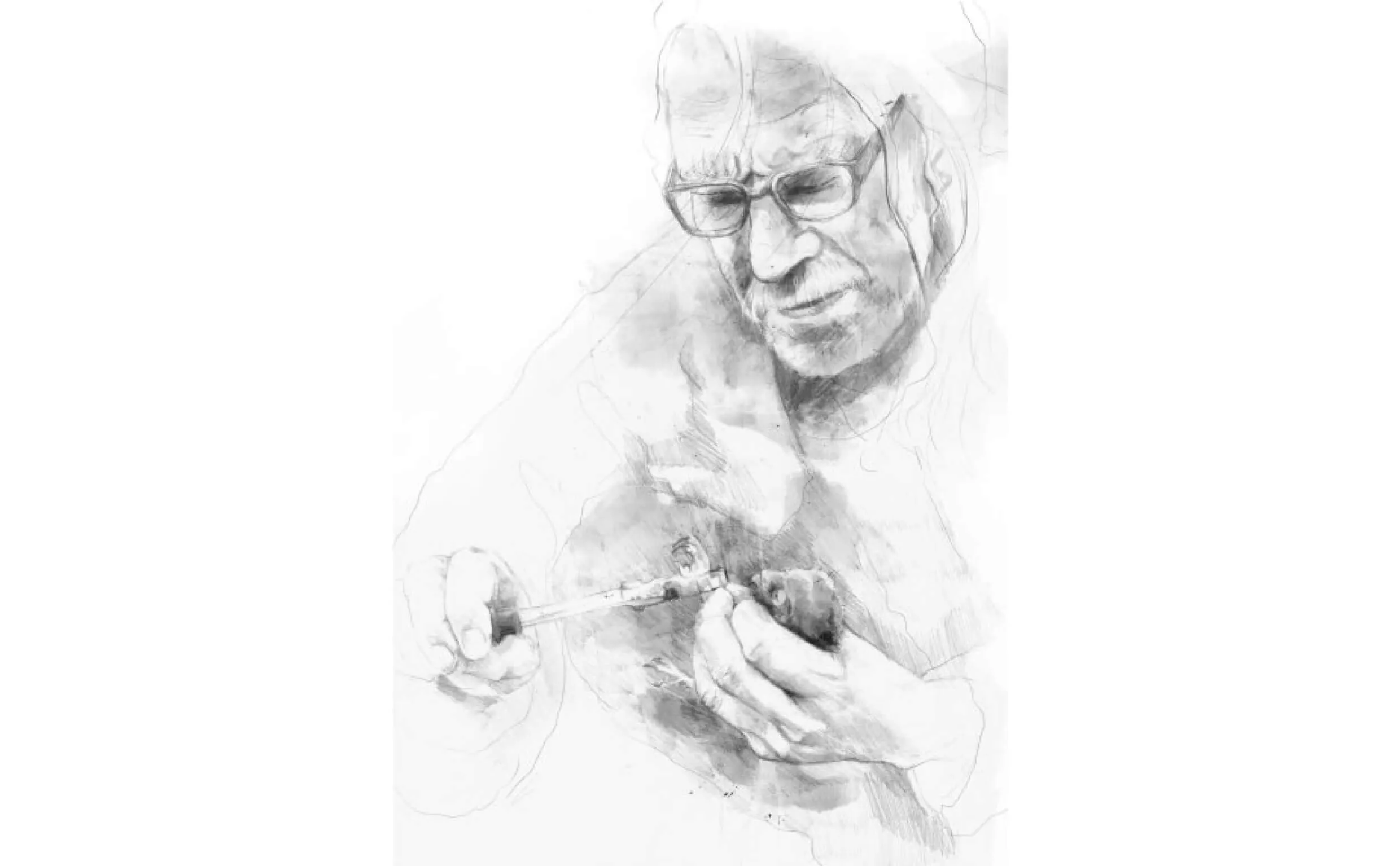 Natural history bird illustration from The Nature of Ringing by Annie Booker