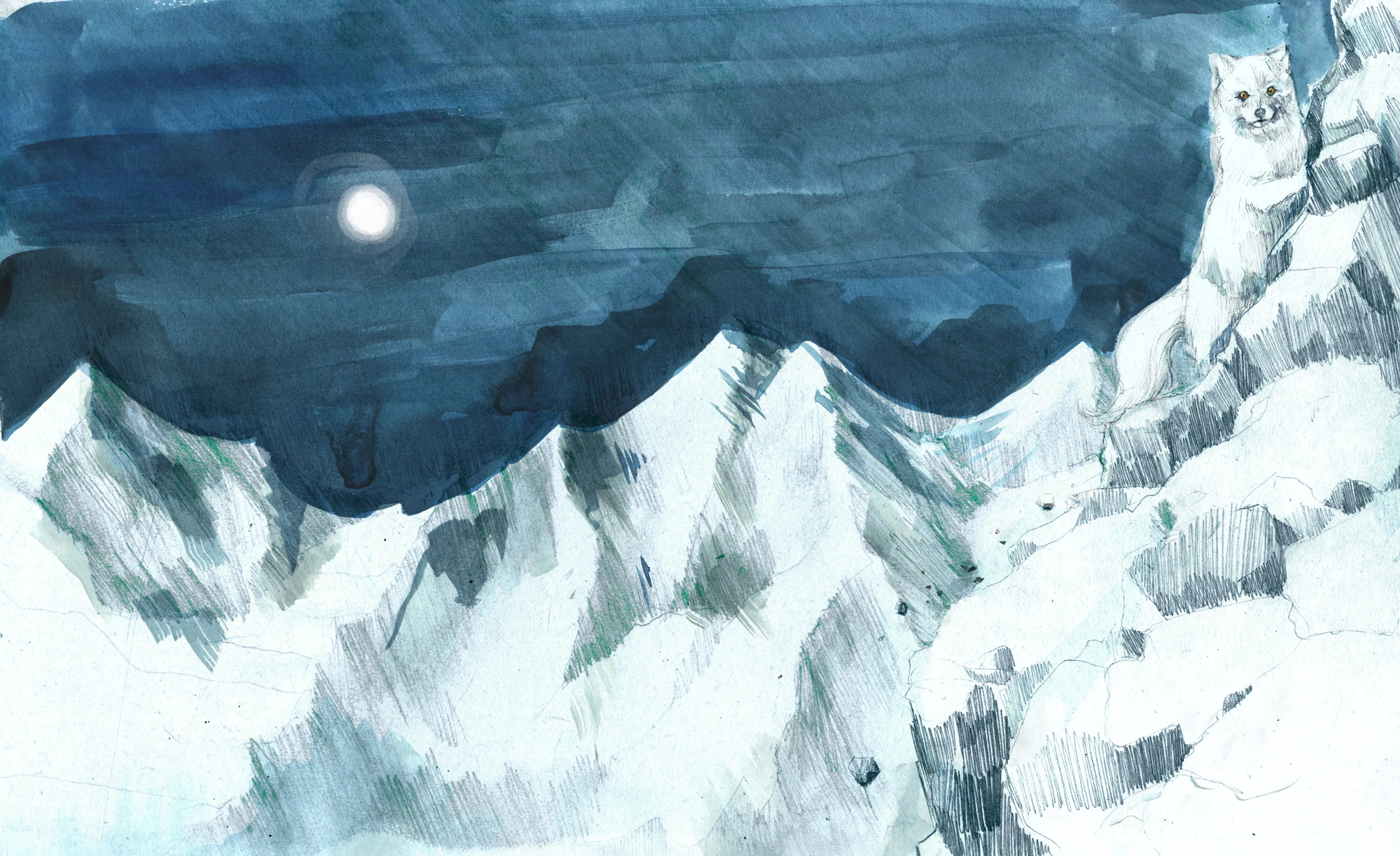 Natural history illustration from The Fox Fires, Tales from the North by Annie Booker