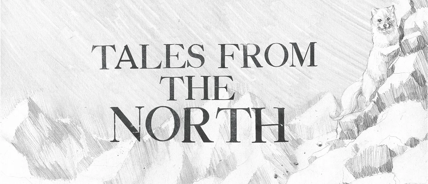 The Fox Fires illustration by Annie Booker - arctic fox and northern lights, full spread