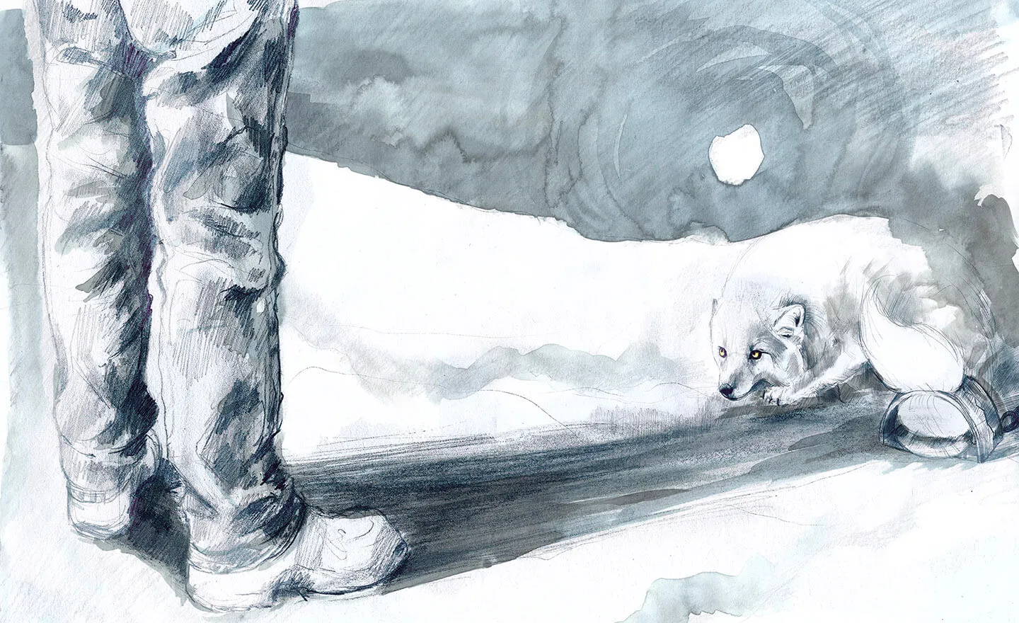 Northern lights and arctic fox illustration from The Fox Fires by Annie Booker