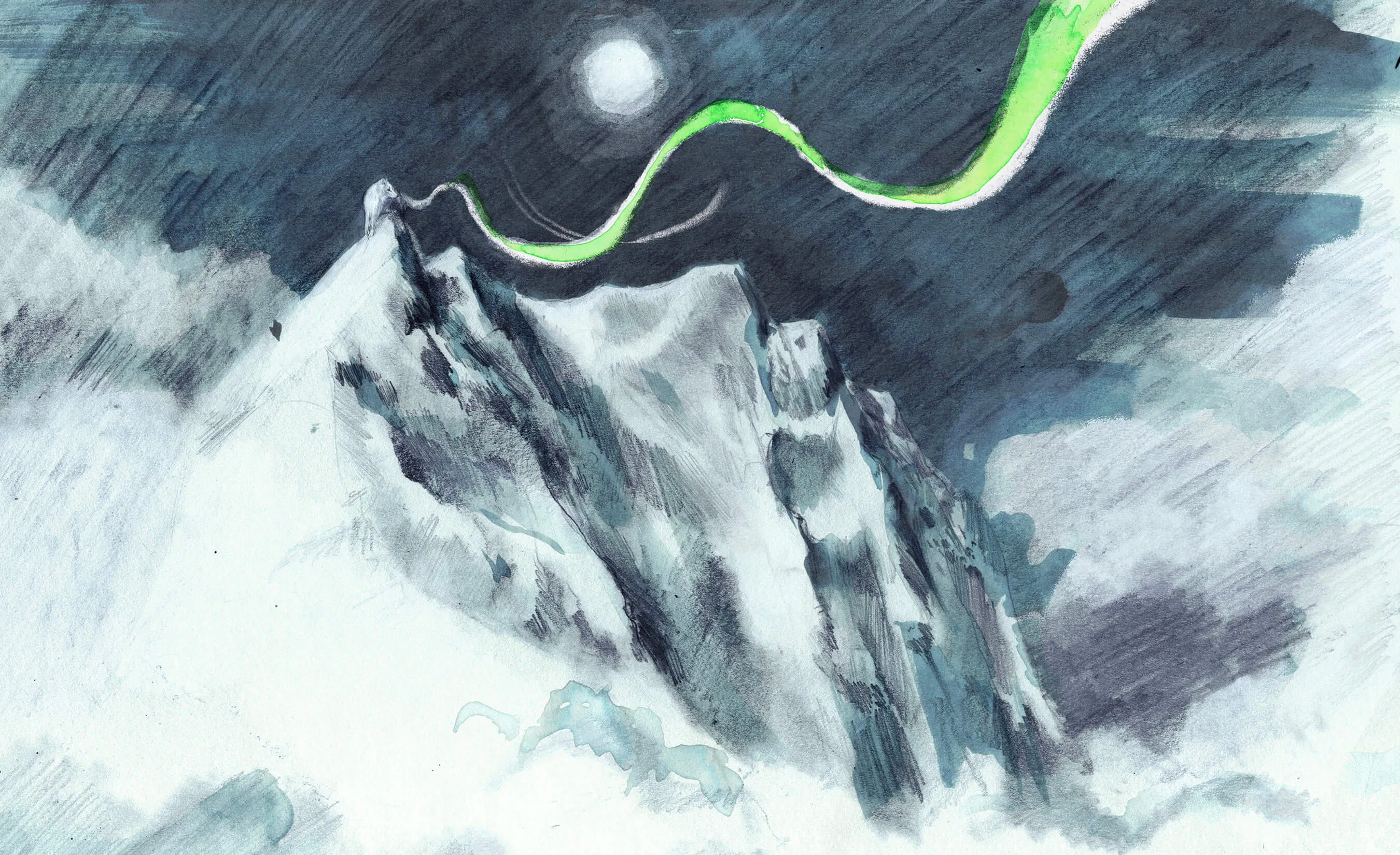 Arctic fox wildlife illustration from The Fox Fires by Annie Booker