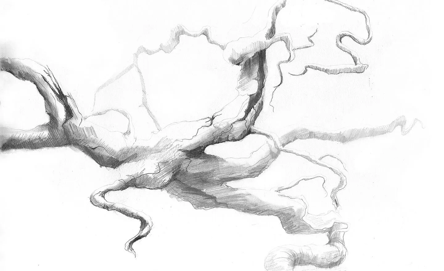 Mixed media caribou illustration from Tales from the North by Annie Booker